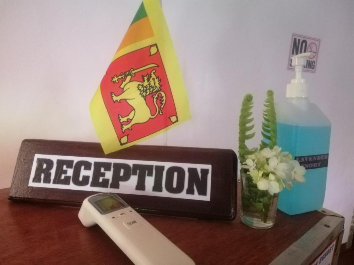 Lavender Resort Nuwara Eliya Kültér fotó
