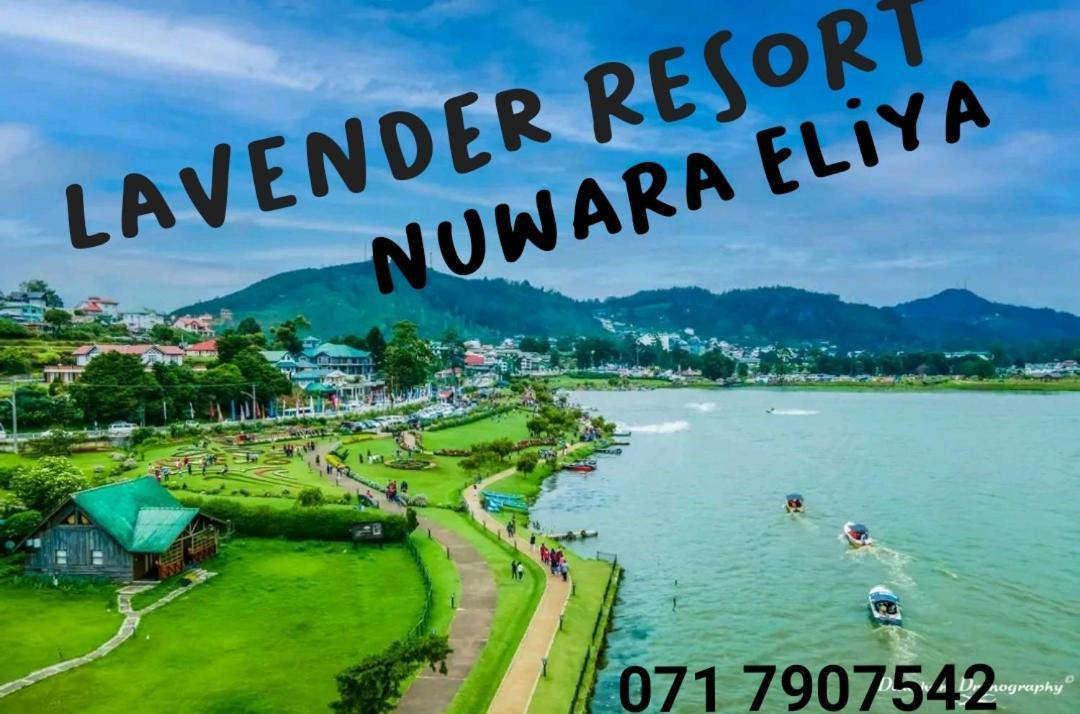 Lavender Resort Nuwara Eliya Kültér fotó